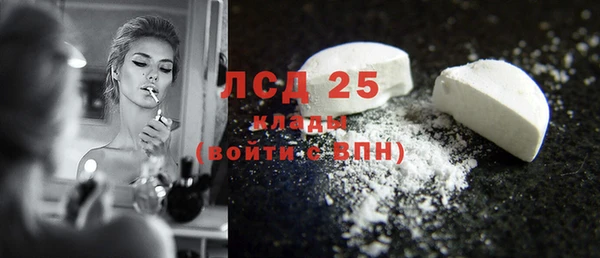 прущие грибы Карпинск