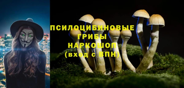 прущие грибы Карпинск