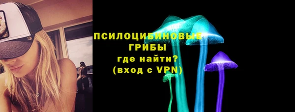 сатива Касимов
