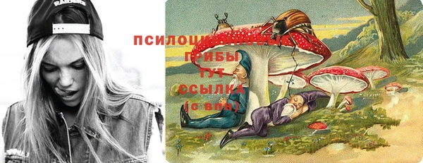 сатива Касимов