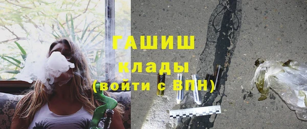 прущие грибы Карпинск