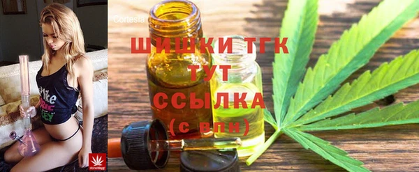 прущие грибы Карпинск