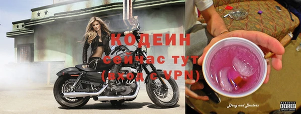 сатива Касимов