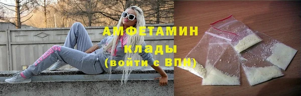 прущие грибы Карпинск