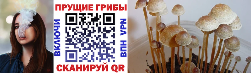 Купить закладки  Боровичи  Галлюциногенные грибы ЛСД 